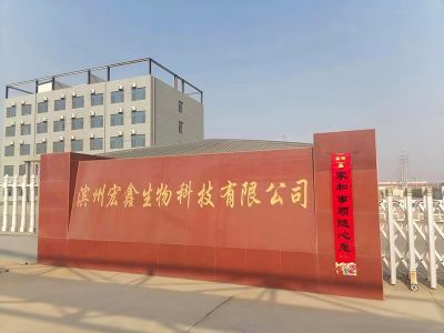 Ferrous Sulfate Plant in China